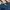 Champion Streetwear Sweatshirt Pria Navy