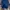 Champion Streetwear Sweatshirt Pria navy photo 1