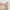 Fairy Coquette Summer dress Wanita multicolor photo 4