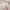 Fairy Coquette Summer dress Wanita multicolor photo 5