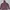 Kolon Sport Sportswear Track Jacket Pria Brown Red