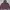 Kolon Sport Sportswear Track jacket Pria brown red photo 1