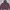 Kolon Sport Sportswear Track Jacket Pria Brown Red