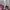 Kolon Sport Sportswear Track jacket Pria brown red photo 7