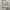 Tommy Hilfiger Luxury Minimalist T-shirt Pria gray photo 5