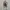 Sportswear Windbreaker Pria white photo 7