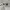 Sportswear Windbreaker Pria white photo 6