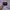 Grooverhyme Sportswear Track jacket Pria purple photo 3