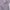 Grooverhyme Sportswear Track jacket Pria purple photo 7