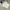 Ben Davis Minimalist T-shirt Pria white photo 1