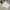 Ben Davis Minimalist T-shirt Pria White