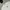Ben Davis Minimalist T-shirt Pria white photo 2