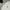 Ben Davis Minimalist T-shirt Pria White