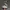 Nike Sportswear Sneakers Pria multicolor photo 1