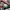 Asics Sportswear Sneakers Pria multicolor photo 5