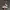 Asics Sportswear Sneakers Pria multicolor photo 1