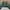 Crocodile Vintage Minimalist Polo shirt Pria green gray photo 2