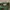 Crocodile Vintage Minimalist Polo shirt Pria green gray photo 4