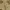 Japanese brand Vintage Streetwear Flare pants Wanita brown photo 7