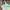Forever 21 Sportswear Bra Wanita multicolor photo 3