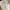 Converse Streetwear Grunge Sneakers Pria white black photo 6