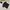Polo Ralph Lauren Casual T-shirt Pria black photo 4