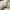 VANS Streetwear Sportswear Sneakers Pria white black photo 8