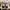 VANS Streetwear Sportswear Sneakers Wanita white black photo 7