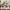 VANS Streetwear Sportswear Sneakers Wanita white black photo 5