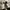 VANS Streetwear Sportswear Sneakers Wanita white black photo 6