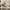 Nike Streetwear Y2K Sneakers Pria multicolor white photo 3