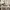 Nike Streetwear Y2K Sneakers Pria Multicolor White