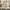 Nike Streetwear Y2K Sneakers Pria silver white photo 5