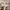 Nike Streetwear Y2K Sneakers Pria silver white photo 1