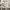Nike Streetwear Y2K Sneakers Pria silver white photo 3