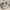 Nike Streetwear Y2K Sneakers Pria silver white photo 6