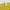 H&M Minimalist Crop top Wanita yellow photo 3