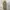 Japanese brand Streetwear Gorpcore Pria green photo 4