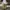 Japanese brand Streetwear Gorpcore Pria green photo 2