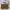 Nine West Minimalist Casual Handbag Wanita brown photo 3
