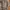 Nine West Minimalist Casual Handbag Wanita brown photo 4