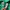 Adidas Casual Sweatpants & Joggers Pria green white photo 3