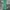 Adidas Casual Sweatpants & Joggers Pria green white photo 2