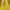 Daisy Lovers Vintage Streetwear Flare pants Wanita yellow photo 3