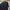 Wacko Maria Casual Formal shirt Pria black photo 4