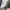 Salomon Streetwear Sportswear Sneakers Pria white gray photo 7