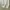 Levi's Casual Sweater Pria white photo 8