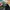 Streetwear Sportswear Hat Pria multicolor photo 6