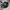 Streetwear Sportswear Hat Pria Multicolor