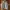Baracuta Vintage Casual Harrington Jacket Pria Khaki